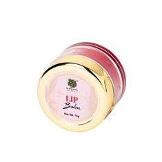 Lip Care